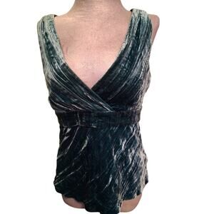 INC International Concepts velvet top